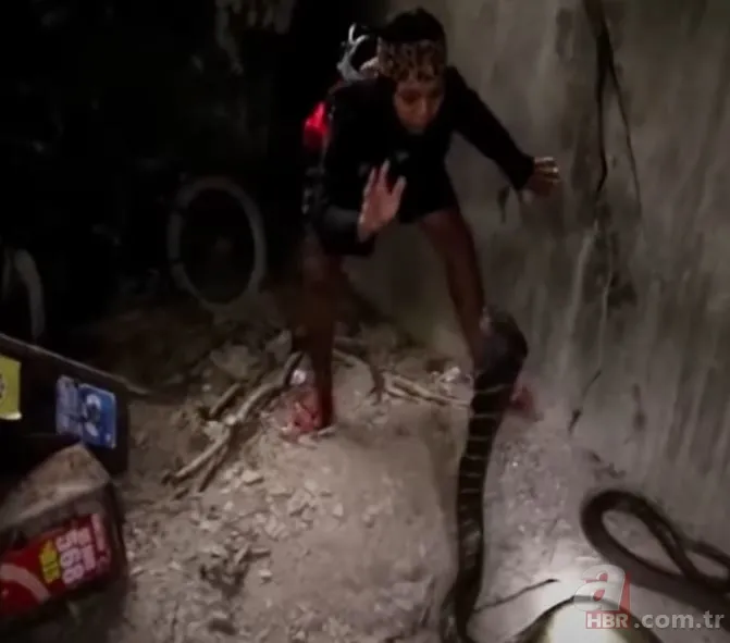 Eve giren kobra yılanıyla ölüm dansı yaptı! Tansiyon çıkaran anlar... 1