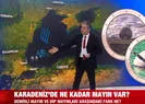 Karadeniz’de ne kadar mayın var?