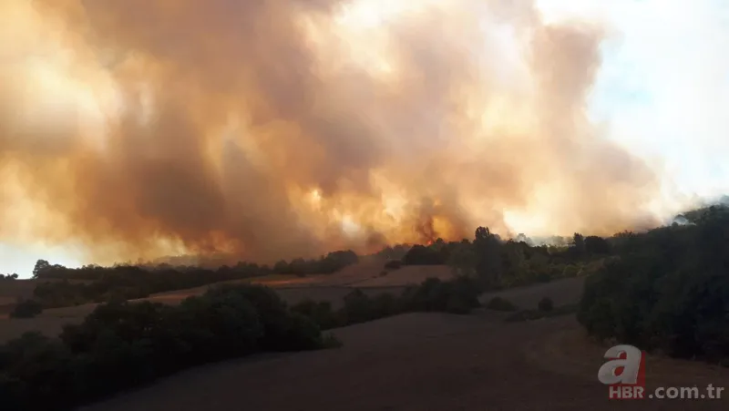 Bursa Yenişehir'de korkutan orman yangını! 15