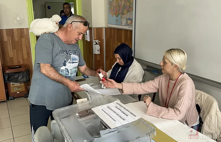 Oy vermeye gelen vatandaşlar şoke oldu! Alper Gezeravcı’dan esinlenip böyle sandığa geldi 18