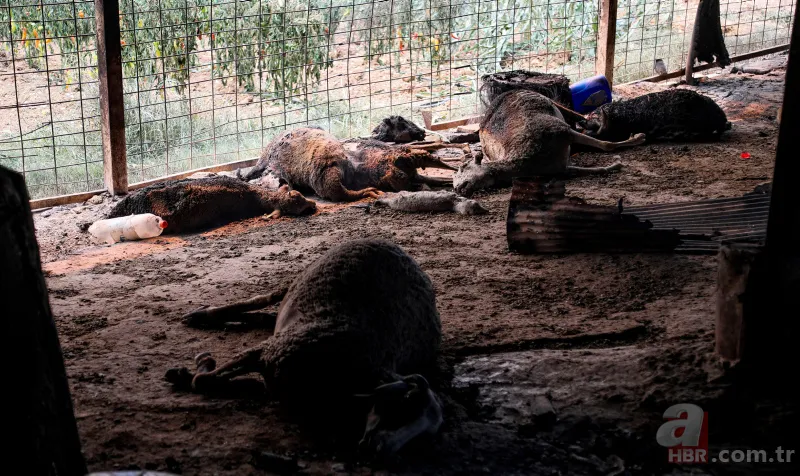 Antalya, Adana, Marmaris, Mersin, Muğla, Osmaniye ve Kayseri'deki orman yangınlarına müdahale ediliyor! Kahreden görüntüler 17