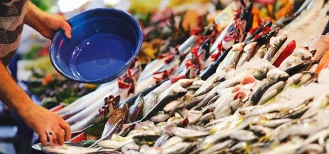 Son dakika | Müsilaj balıkları zehirler mi | Çevre ve Şehircilik Bakanı Murat Kurum’dan flaş açıklama