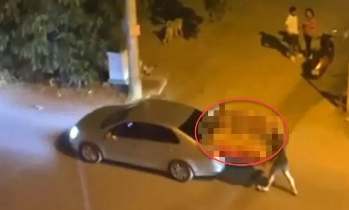 Antalya’da görenleri şaşkına çeviren manzara! Balkondan cep telefonuyla kaydetti: Yurdum insanı çok iyi!