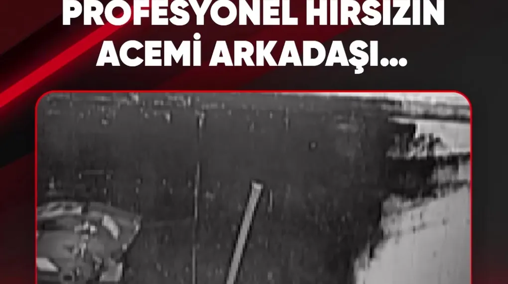 PROFESYONEL HIRSIZIN ACEMİ ARKADAŞI…