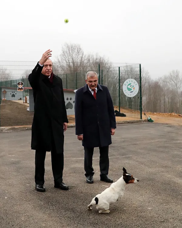 Başkan Erdoğan’dan hayvan barınağına ziyaret: Maylo isimli köpekle yakından ilgilendi