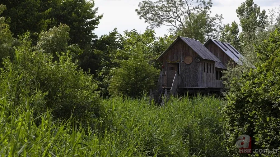 Dünyanın en mutlu şehirleri açıklandı: İlk sırada Kopenhag var 6