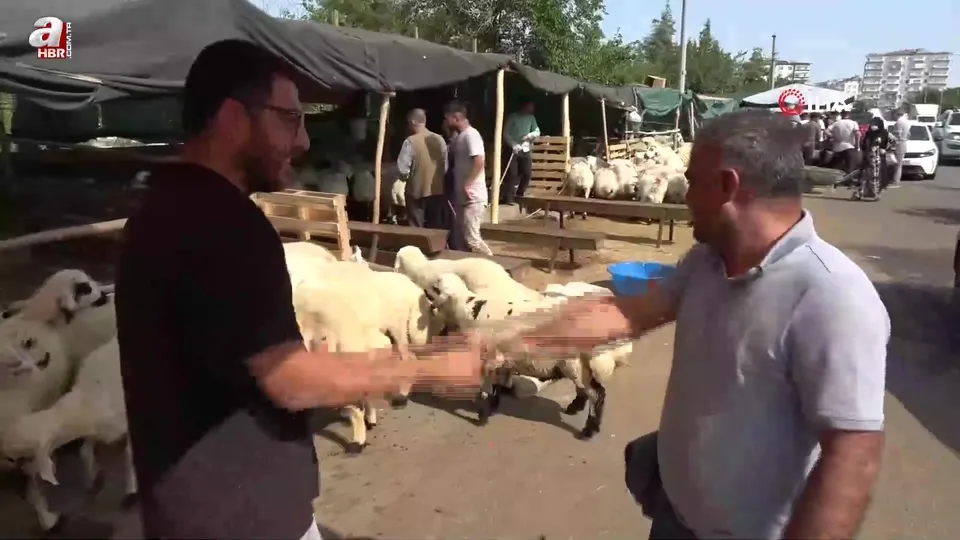 Kurban pazarlarında yoğunluk devam ediyor