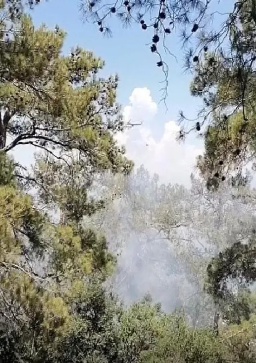 mugla-ve-bursada-korkutan-orman-yangini-1654517709965.jpg Muğla ve Bursa'da korkutan orman yangını - 2