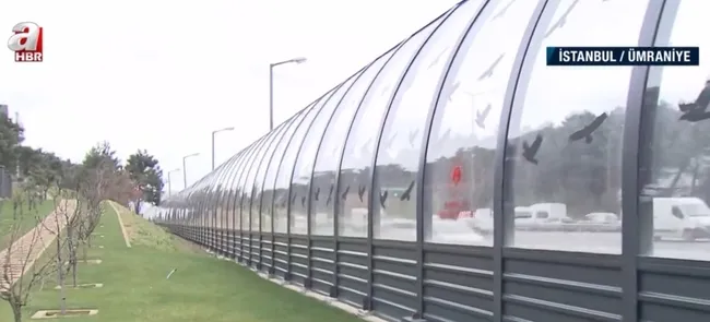 Bakanlık gürültü kirliliği için devreye girdi! İstanbul en gürültülü noktası belirlendi