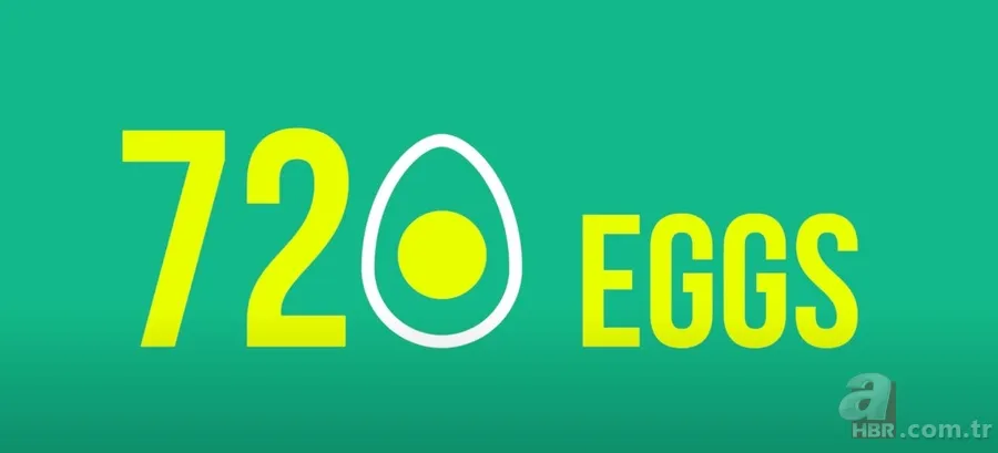 Bir ayda 700 yumurta yedi, kolestrolü düştü! Harvard öğrencisinin çılgın deneyi şaşırttı 1