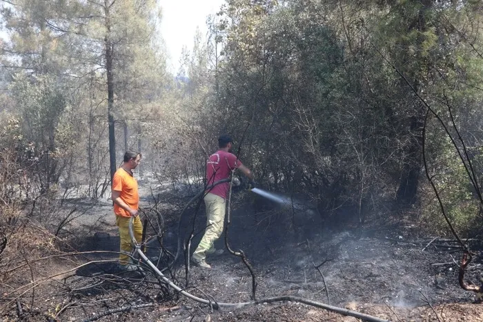 Son dakika: Türkiye’nin birçok yerinde ormanlara girmek yasaklandı! İşte o iller...
