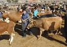 Kurban çeşitleri nelerdir?