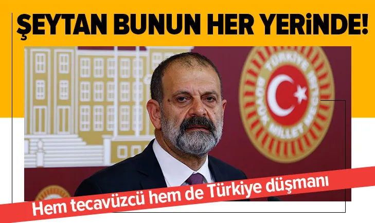 İşte HDP’li Tuma Çelik’in kirli sicili! Hem tecavüzcü hem de Türkiye düşmanı!