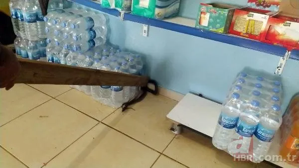 Markette yılan paniği! Yakalamak için bir saat uğraştılar