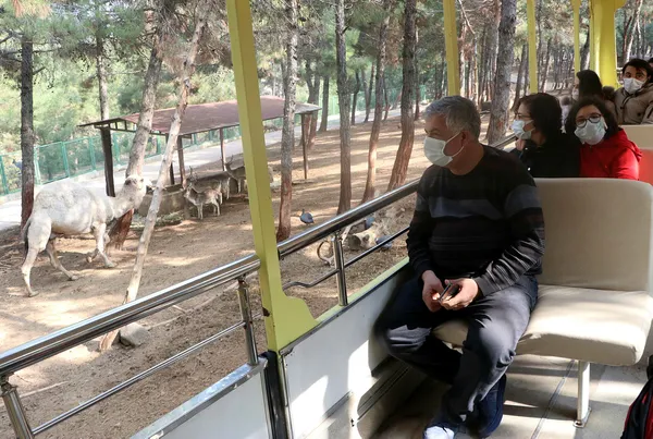 Türkiye'nin ilk ve tek safari parkına yoğun ilgi - 1