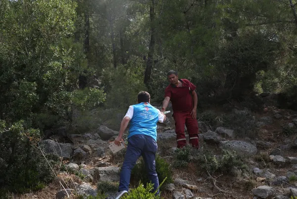 Yanan bölgelere hangi tür ağaçlar dikilecek? Harekete geçildi