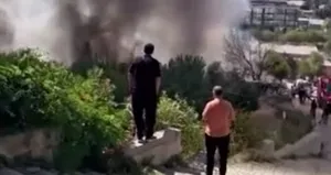 Kağıthane’de ağaçlık alanda çıkan yangın korkuttu