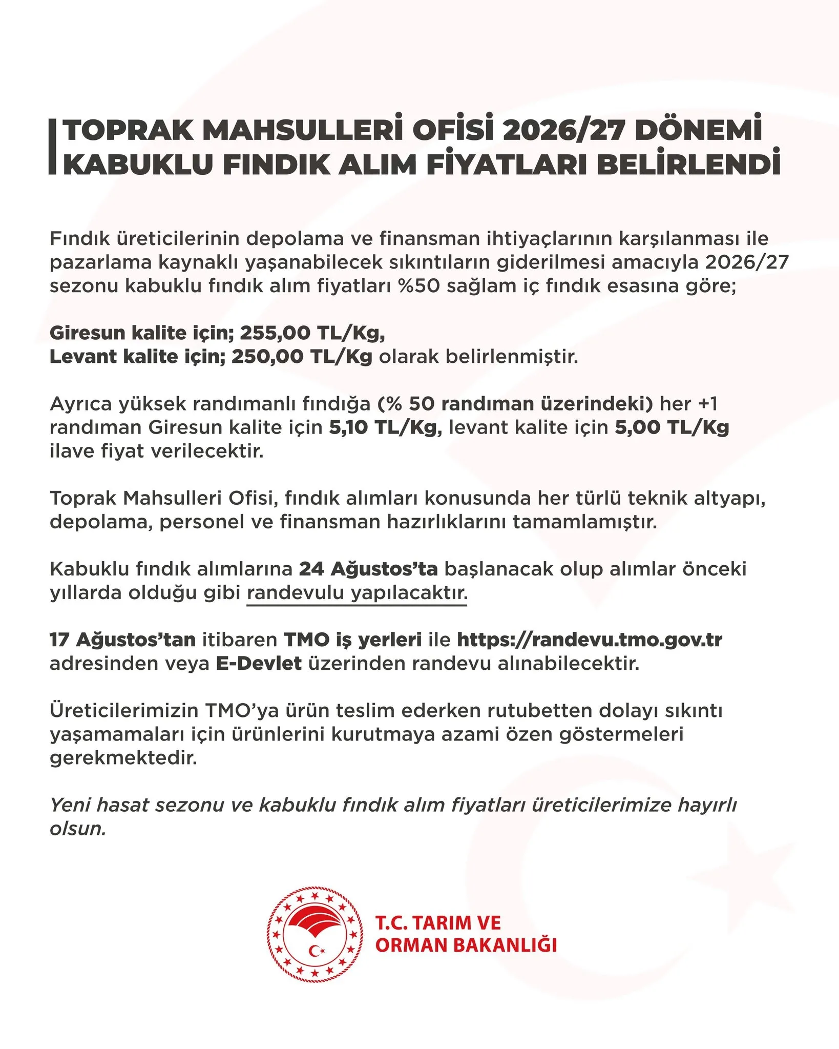 TMO fındık alım fiyatlarını açıkladı: Giresun kalite 255 TL, levant kalite 250 TL oldu