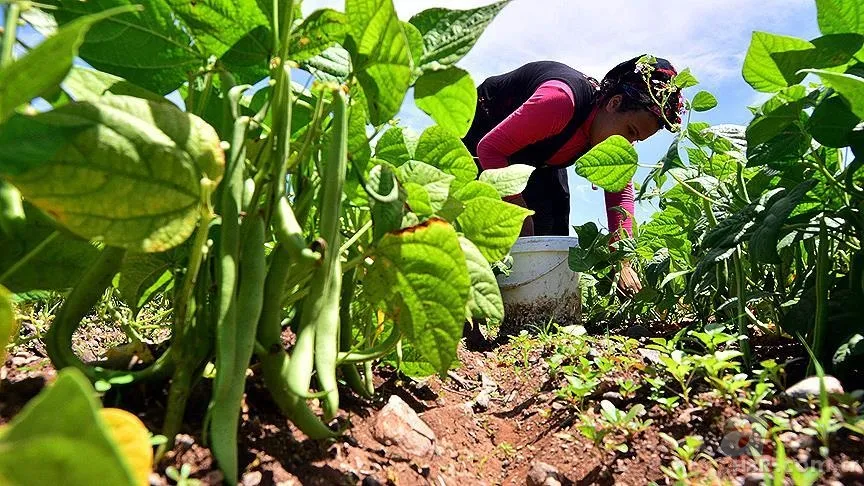 Yerli Malı Haftası nedir? | Tutum, Yatırım ve Türk Malları Haftası önemi nedir? 7