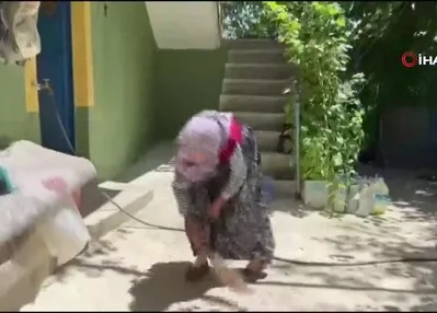 Yaşlı çiftten alkışlanacak bağış