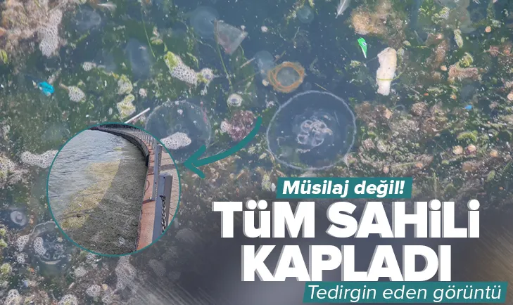 Müsilaj değil! Tedirgin eden görüntü