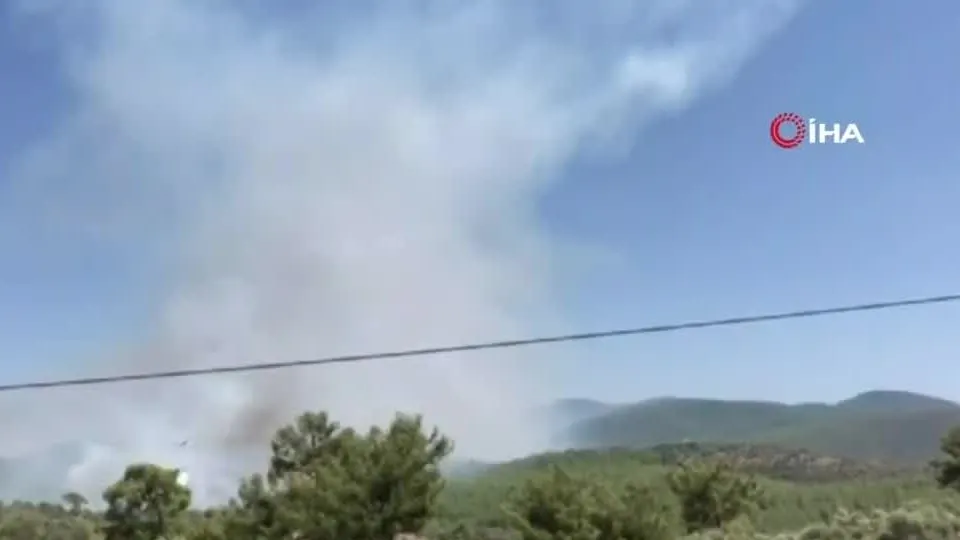 Bodrum ve Milas’ta orman yangını | Video