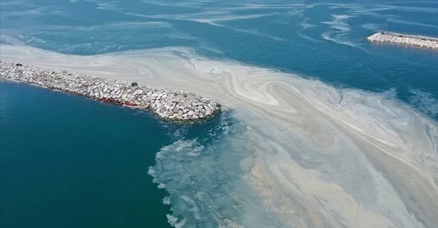450 farklı nokta müsilaj incelemesi! Marmara Denizi için korkutan uyarı: Bu seneki manzarayı arayacağız - 2