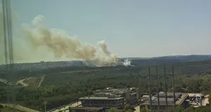 Sultangazi Kent Ormanı’nda yangın!