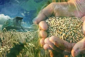 Savaşın yeni cephesi sofra!