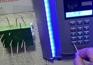 Koronavirüse kürdanla savaş açtı |Video