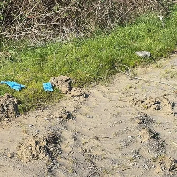 İstanbul’da kan donduran infaz: Çinli iş insanını önce öldürüp sonra gömmüşler!