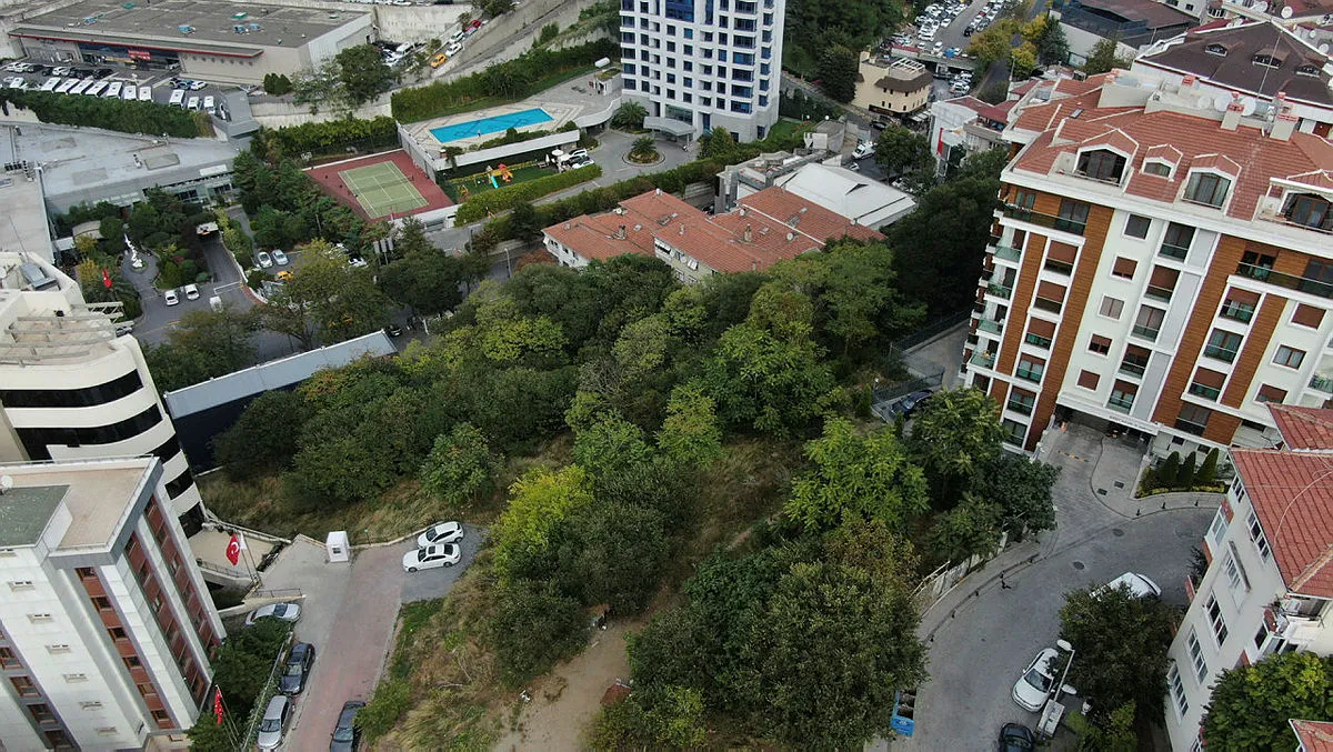 CHP'li İBB Dikilitaş’taki ormanlık alanı 175 milyon TL ile tekrar satışa çıkardı