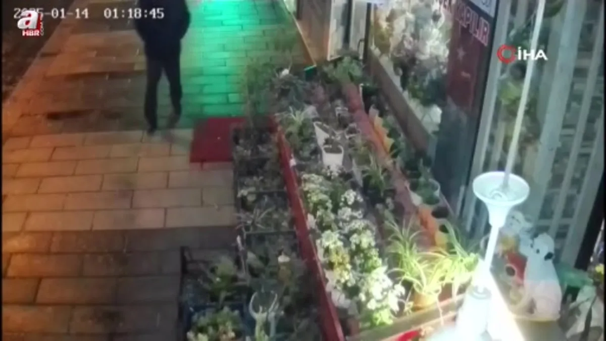 Çiçeklerin azaldığına anlam veremedi güvenlik kamerasını izleyince hayrete düştü