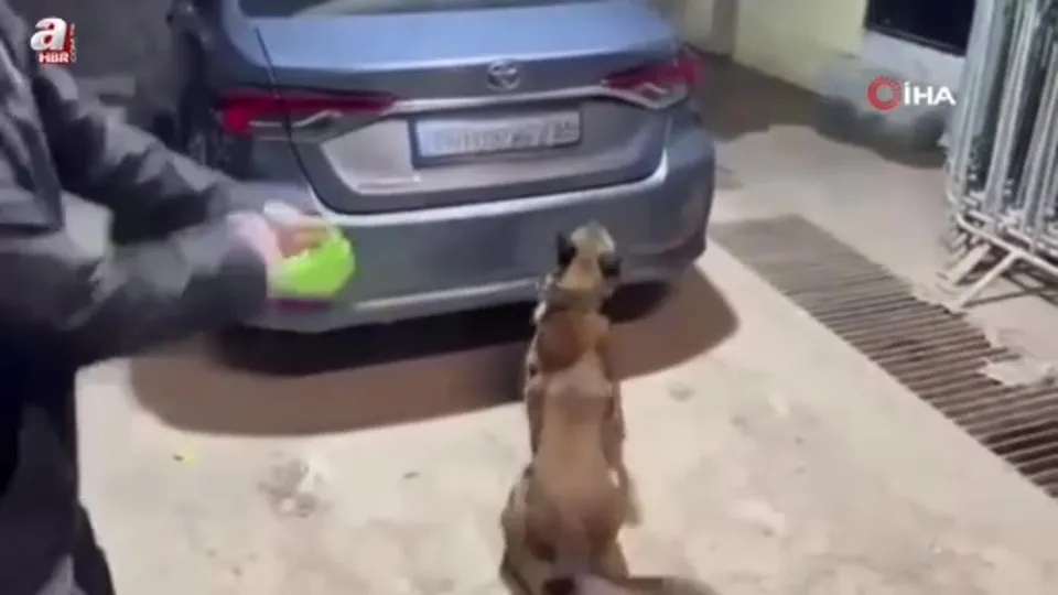 Yılbaşı öncesi narkotik operasyonu