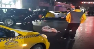 Pitbull dehşeti! Aniden saldırdı...