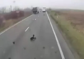 Şerit takip sistemi nedir ve nasıl çalışır?