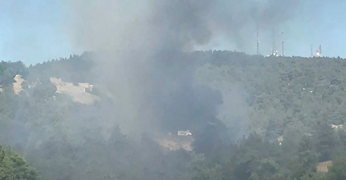 Çanakkale'de orman yangını