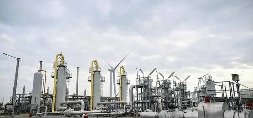 Müjdeyi Başkan Erdoğan vermişti! Doğalgaz desteği 2024'te de sürecek: Mayıs ayına kadar devletten