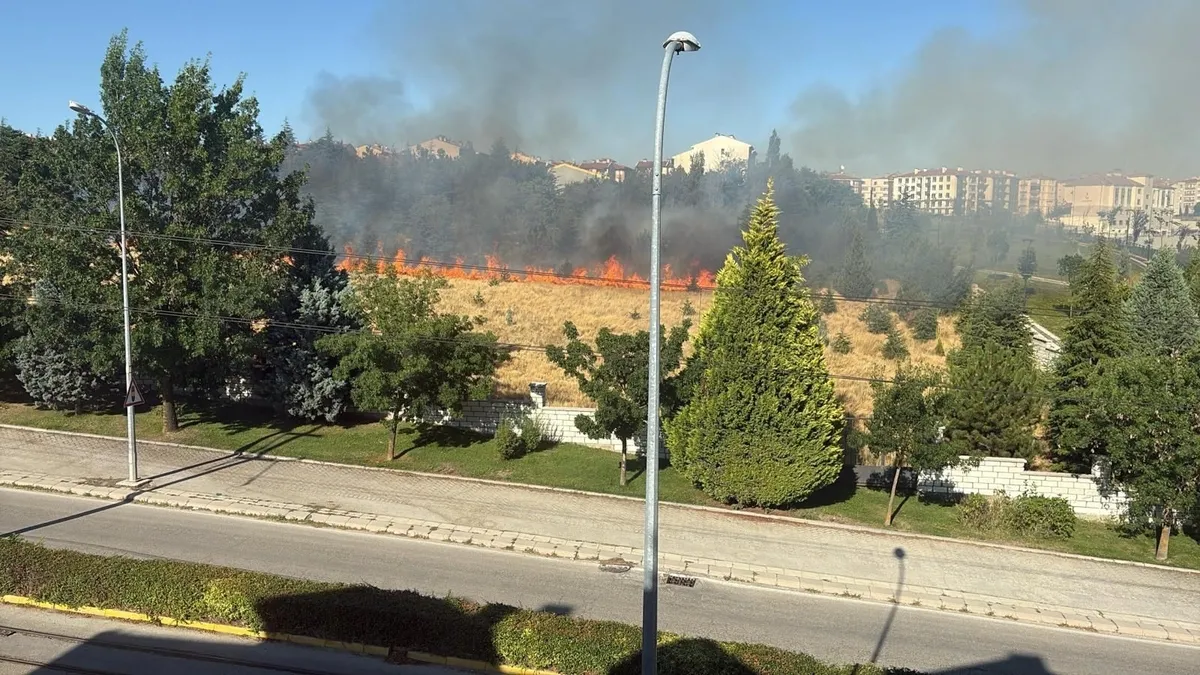 Eskişehir’de parkta yangın paniği