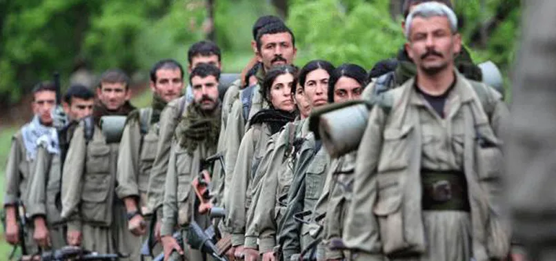 Şırnak'ta terör operasyonu!