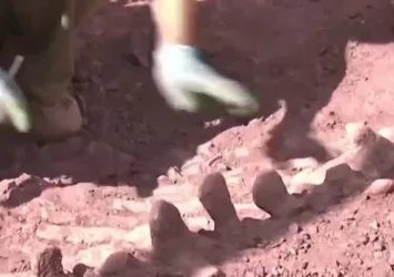 200 milyon yıllık dinozor fosili