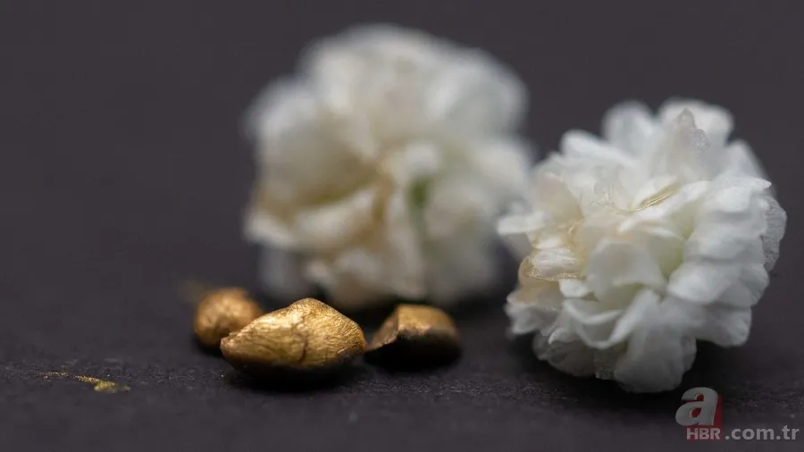 Evdeki değerli eşya: 22 ayar altın değerinde olduğu ortaya çıktı 1