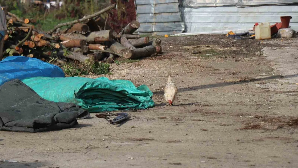 Tavuk yüzünden iki yeğenini tüfekle vurdu
