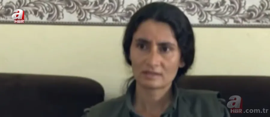 Sözde akademisyenler talimatı PKK'dan almış! Perde arkasını A Haber'de anlattı: İYİ Parti masada örseleniyor! HDP kadar itibar görmüyor 4