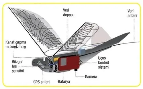 Çin’in casus güvercinleri - 1