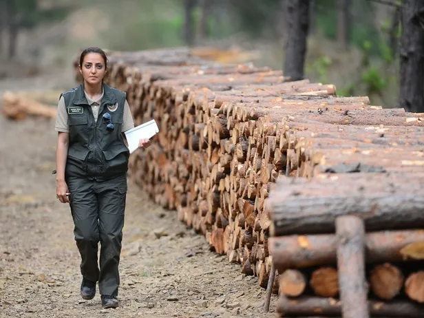 OGM’nden KPSS puanı olmayanlara müjdeli haber! Lise mezunu herkes başvurabiliyor! Şartları uyan İŞKUR’a koşuyor