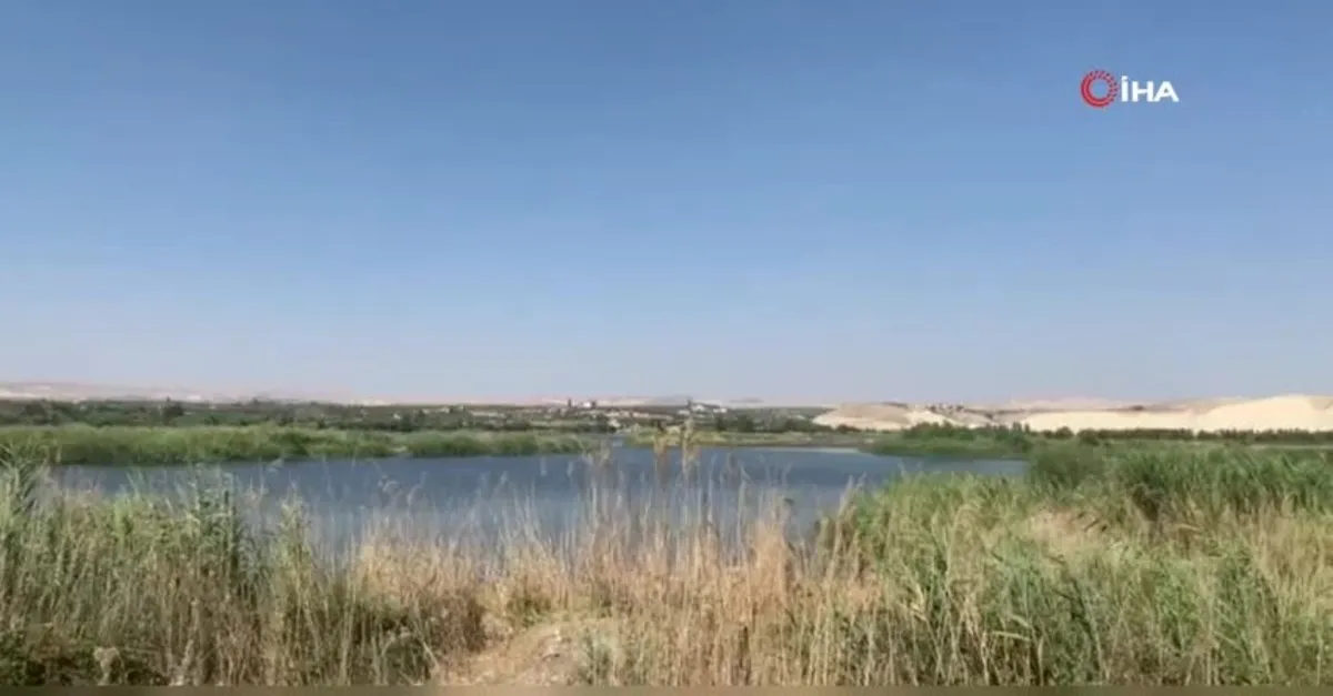 Şanlıurfa’da piknik faciası! Akıntıya kapılan 2 kişi boğuldu, 3 kişi yaralı kurtarıldı