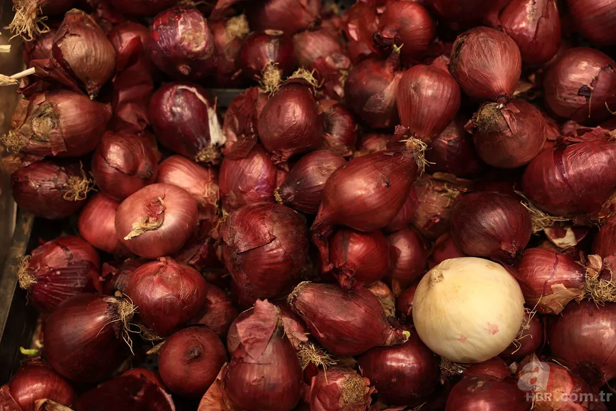 Kan şekerini ilaçsız düşüren mucizevi besin! Toprakta yetişiyor... 2