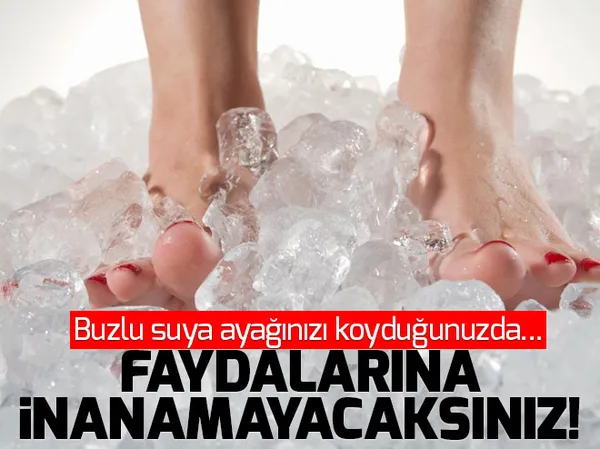 Cumhurbaşkanlığı ve milletvekili seçimi nasıl olacak? - 4