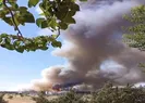 Gaziantepte orman yangını